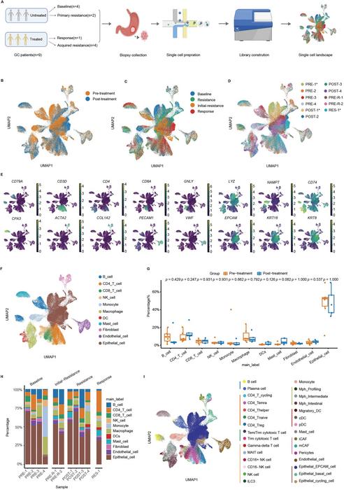 Single-cell landscape of GC under T-DXd treatment.