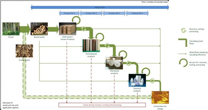 Concept of Cascading the Use of Wood