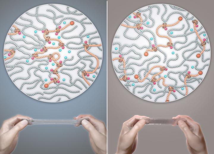 Extensibility of the Polymer Gels