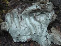 Shovel of Clay from Kisameet Bay, British Columbia