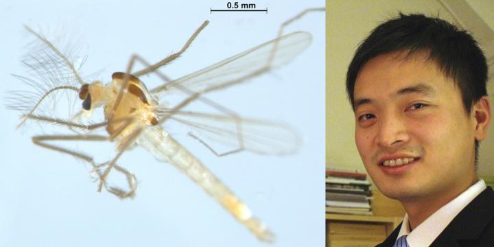 Xiaolong Lin, Norwegian University of Science and Technology 