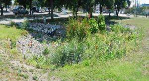 Bioretention Area/Rain Garden at Dallas Center