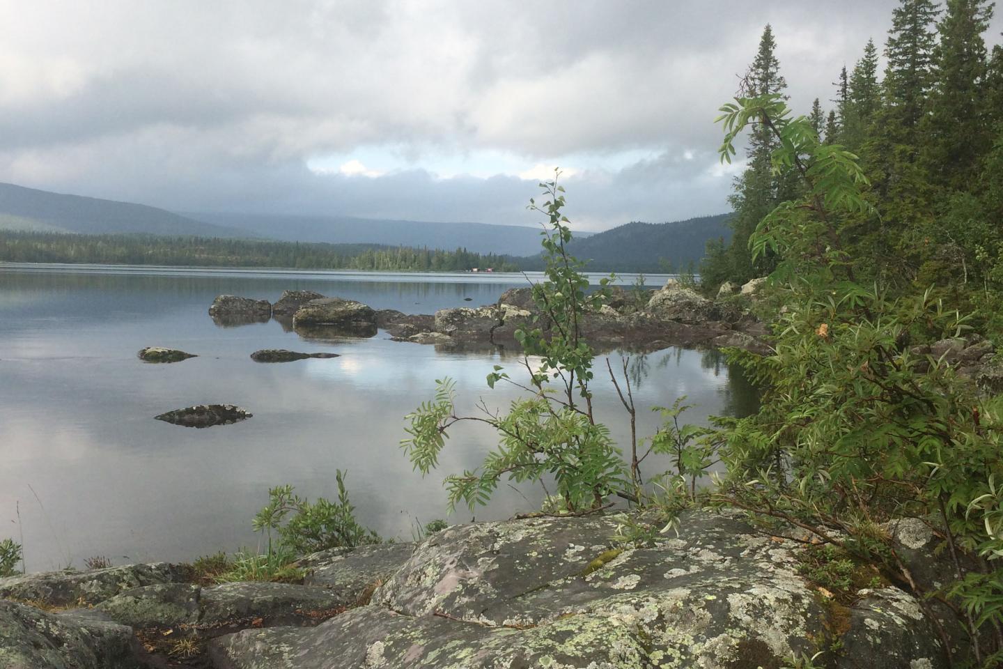 Bastviken vatten