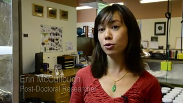 University of Montana Research Reveals Secrets of Animal Weapons