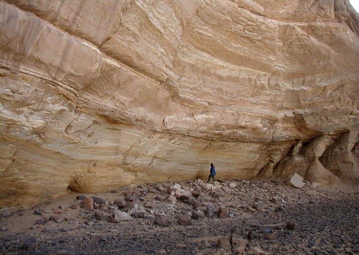 The Absence of Ants -- Entomologist Confirms First Saharan Farming 10,000 Years Ago