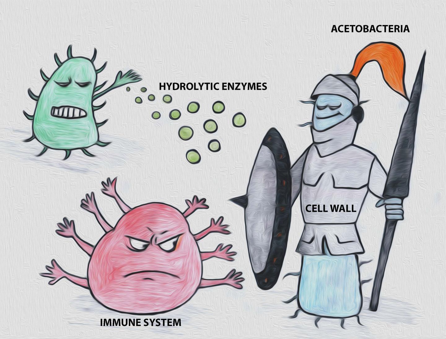 Cell Armor