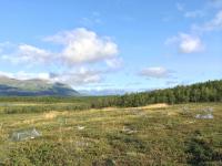 Field Photo 2