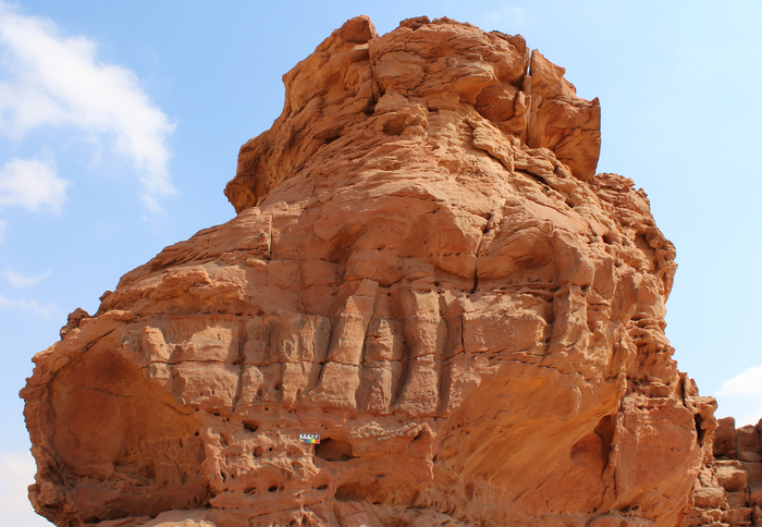 Camel carving