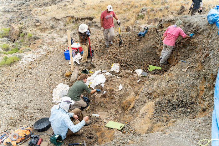 Flyby Trike excavation 01