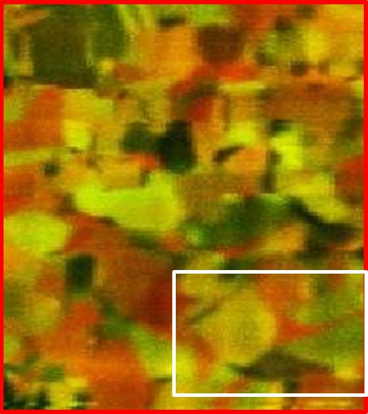 Raman Microspectroscopy