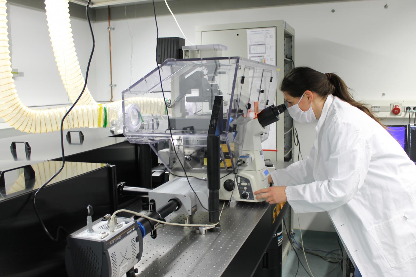 Fluorescence microscopy