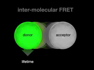 Photonic Resonance Energy Transfer