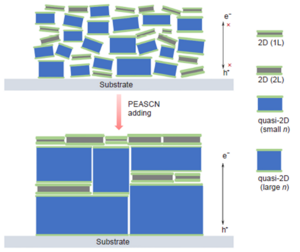 Upon the inclusion of PEASCN, the ratio of high member low dimensional tin perovskite is increased.