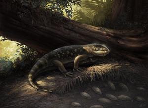 Artistic reconstruction of Bolg amondol, by Cullen Townsend