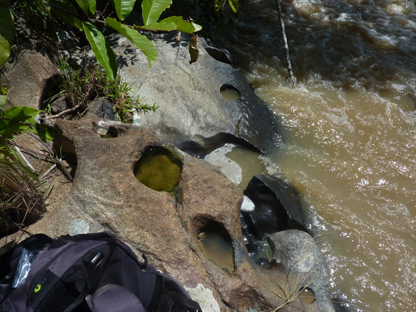 Exposing Mosquito Larvae to Certain Bacteria May Deter Dengue Transmission (4 of 7)