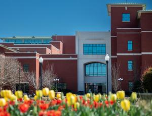 MSU's Mitchell Memorial Library