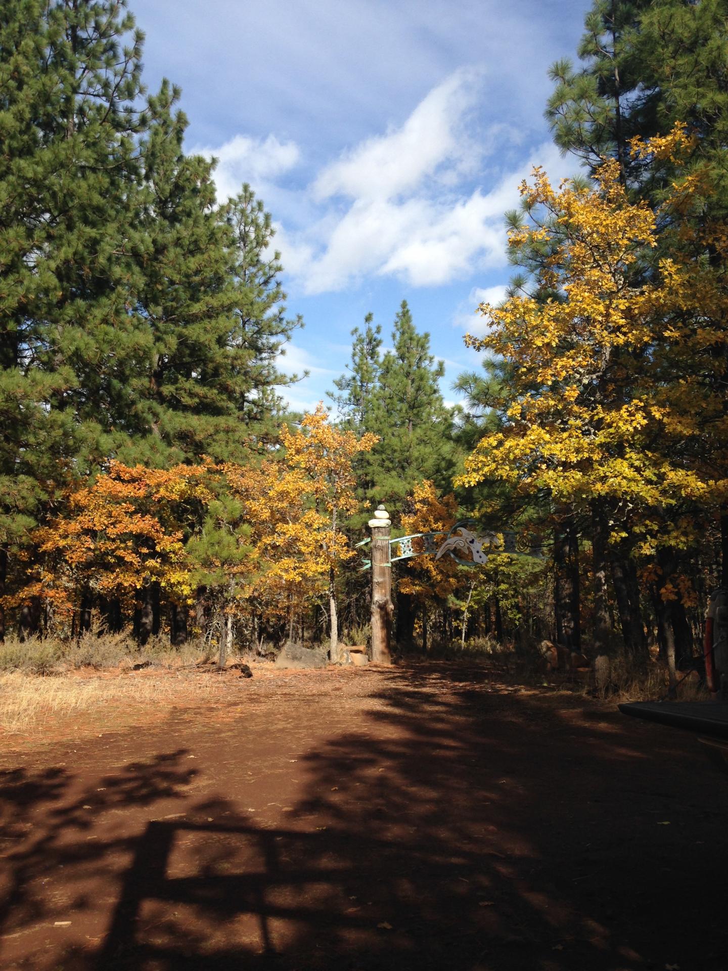 Conservation Burial Site