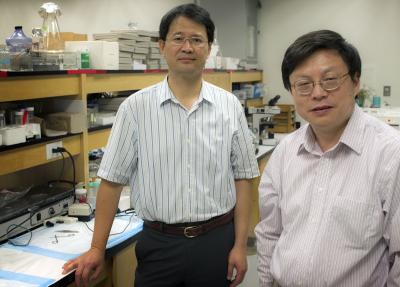 Liping Tang and Jianzhong Su, University of Texas at Arlington 