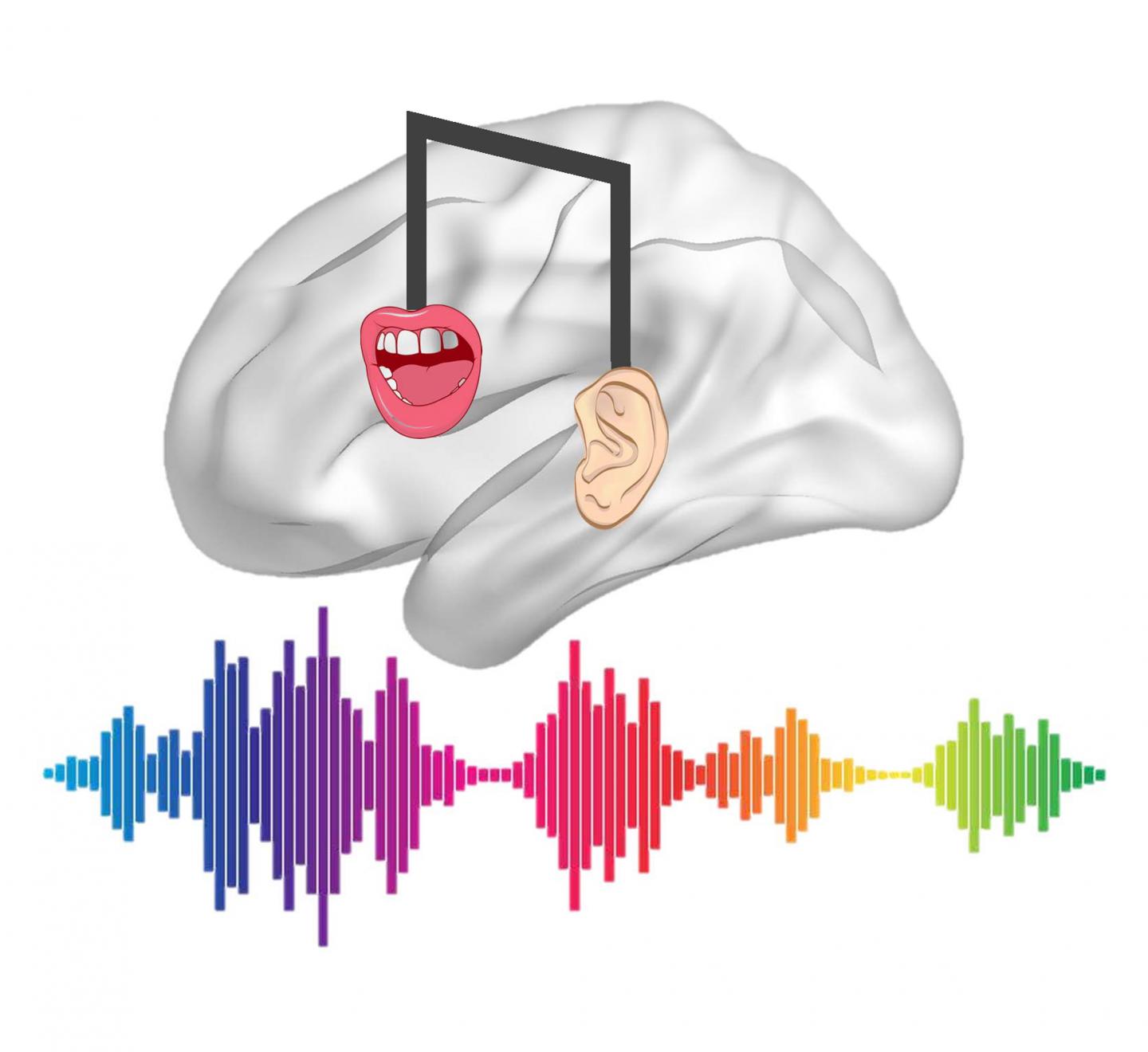 Musical Training