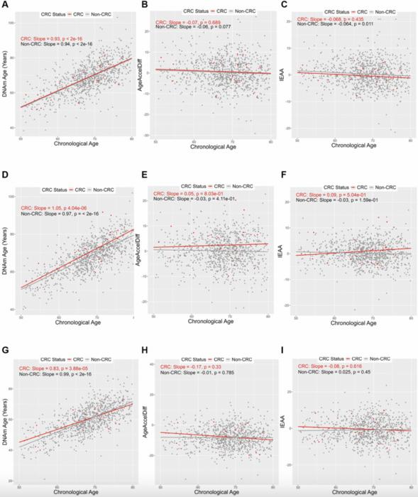 Epigenetic age and accelerated aging phenotypes: a tumor biomarker for predicting colorectal cancer