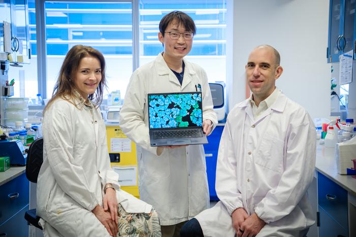 NTU Associate Professor Guillaume Thibault, Research Fellow Dr Aaron Tan, who is holding an image of a microbial biofilm, and SCELSE Visiting Professor Kimberly Kline from the University of Geneva