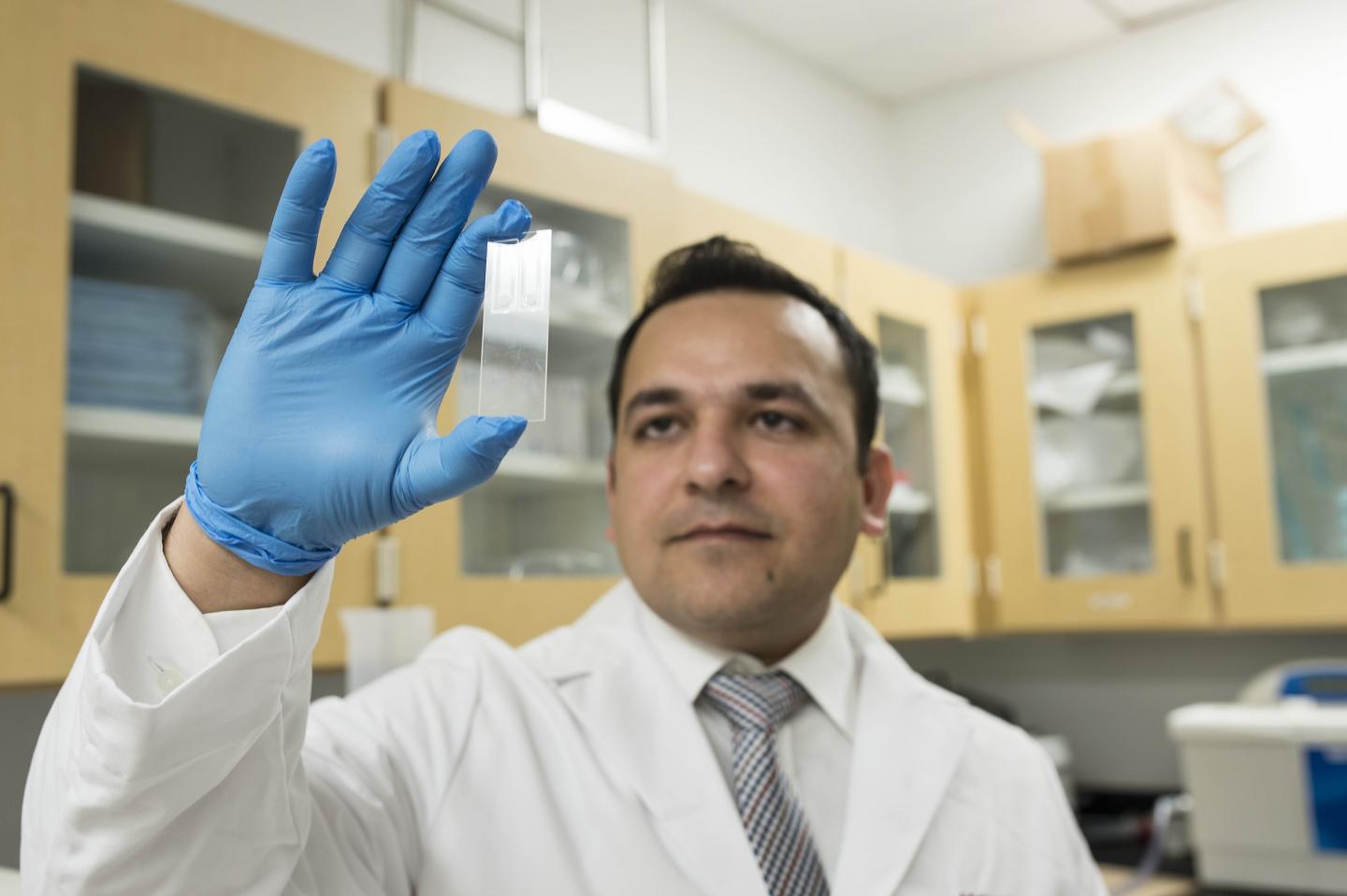 Waseem Asghar, Florida Atlantic University