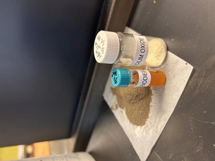 Combining algae and oyster shells for biodiesel born in the bayou