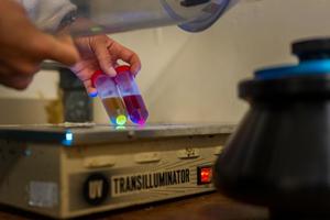 Protein samples
