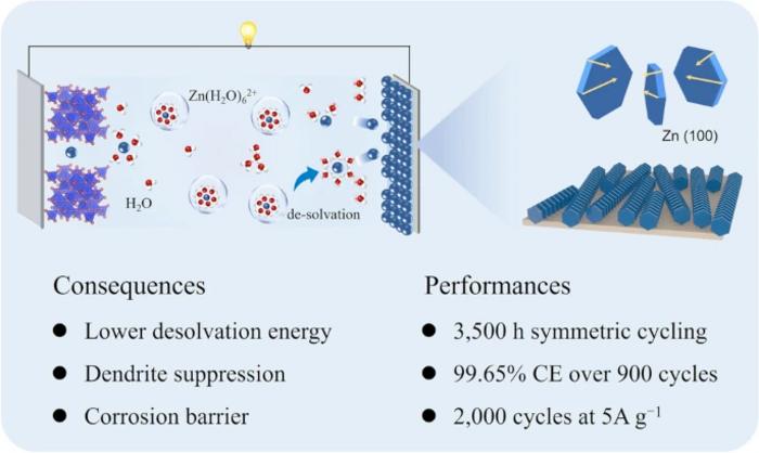 Zincophilic–Hydrophobic Interface Design for Dendrite‑Free Aqueous Zinc‑Ion Batteries