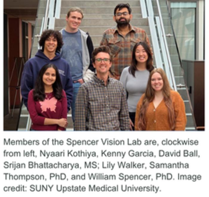 Upstate researcher receives $2.3 million grant to study causes of blindness