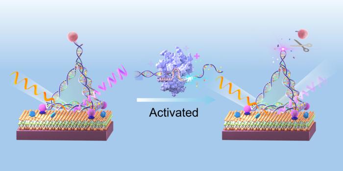 Sensor activation