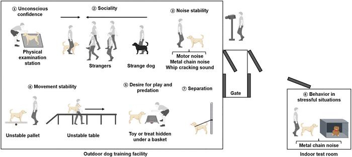 Associations between canine temperament and salivary concentrations of cortisol and serotonin