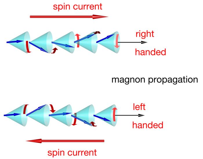 Right- and left-handed chiral magnons.