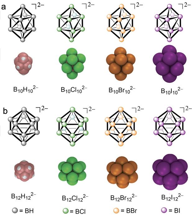 First set of rational design principles for chaotropic membrane transporters