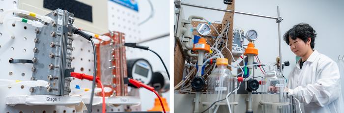 electrodialysis setup