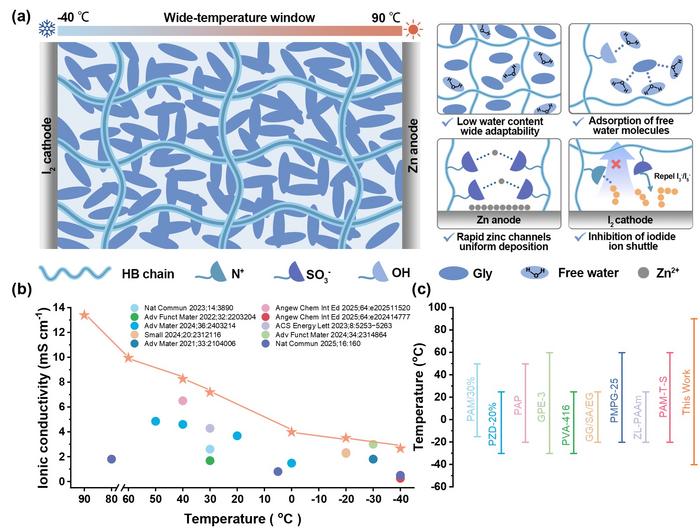 A hydrogel network protects both electrodes in zinc-iodine batteries