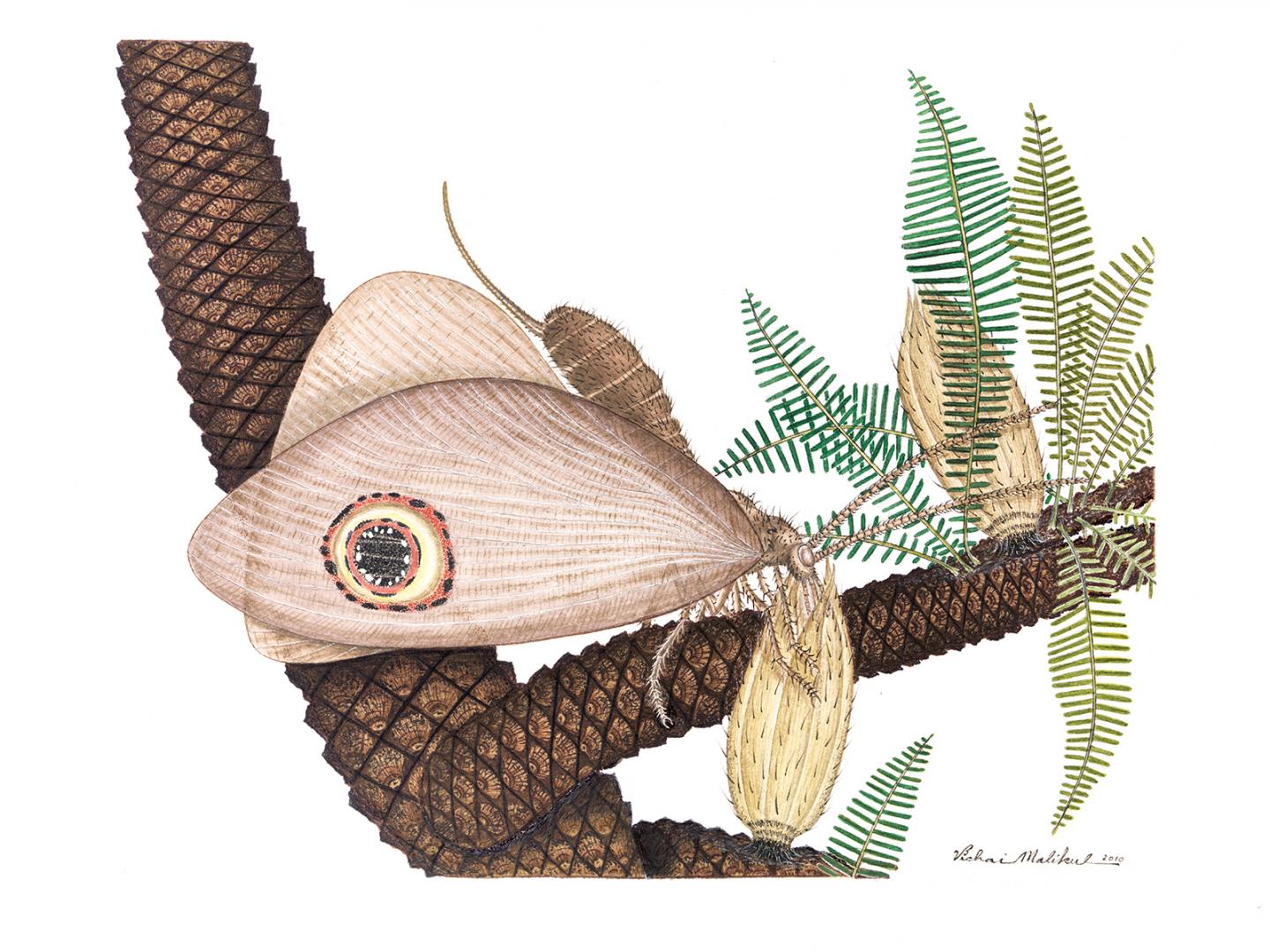 Reconstruction of the Kalligrammatid Lacewing