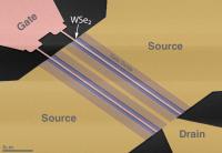 Micrograph 3 Layer