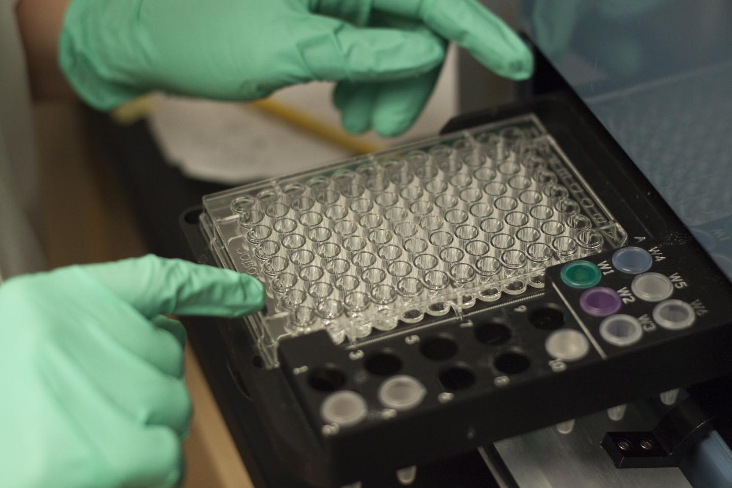 Measuring Bacteria Growth