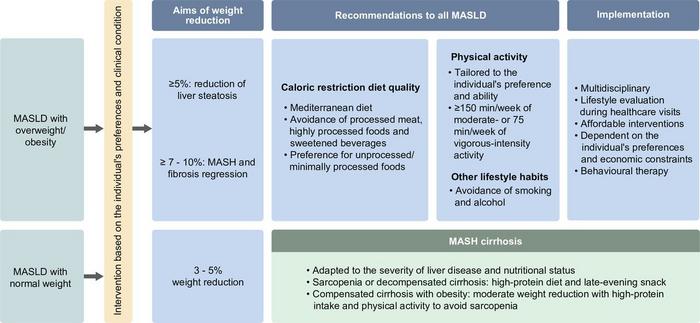 Recommendations for lifestyle interventions in individuals with MASLD (reproduced with modifications from Tacke et al 1 under the CC BY-NC license (https://creativecommons.org/licenses/by-nc/4.0/)).