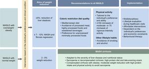 Recommendations for lifestyle interventions in individuals with MASLD (reproduced with modifications from Tacke et al 1 under the CC BY-NC license (https://creativecommons.org/licenses/by-nc/4.0/)).