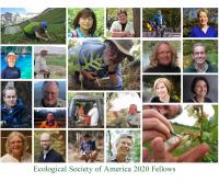 ESA 2020 Fellows