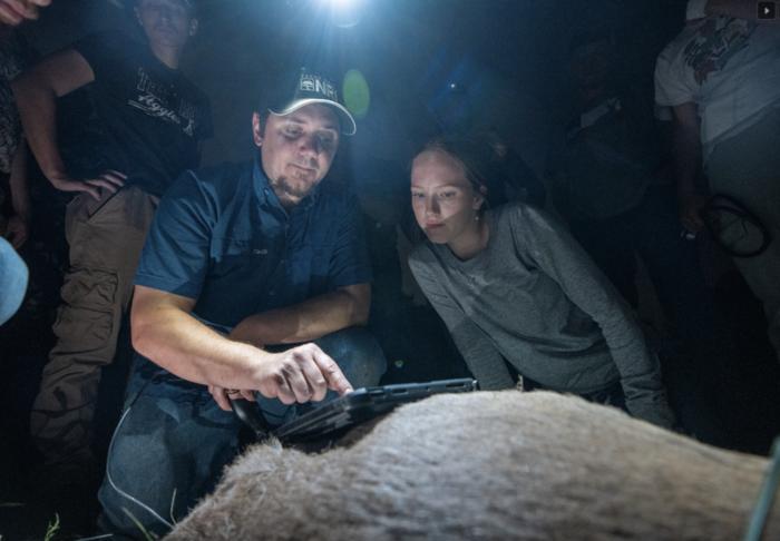 White-tailed deer research benefits students, land managers, wildlife
