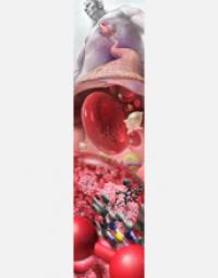 2008 Science and Engineering Visualization Challenge Winners Announced (3 of 3)