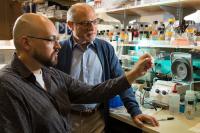 Christopher Dravis and Geoffrey Wahl, Salk Institute