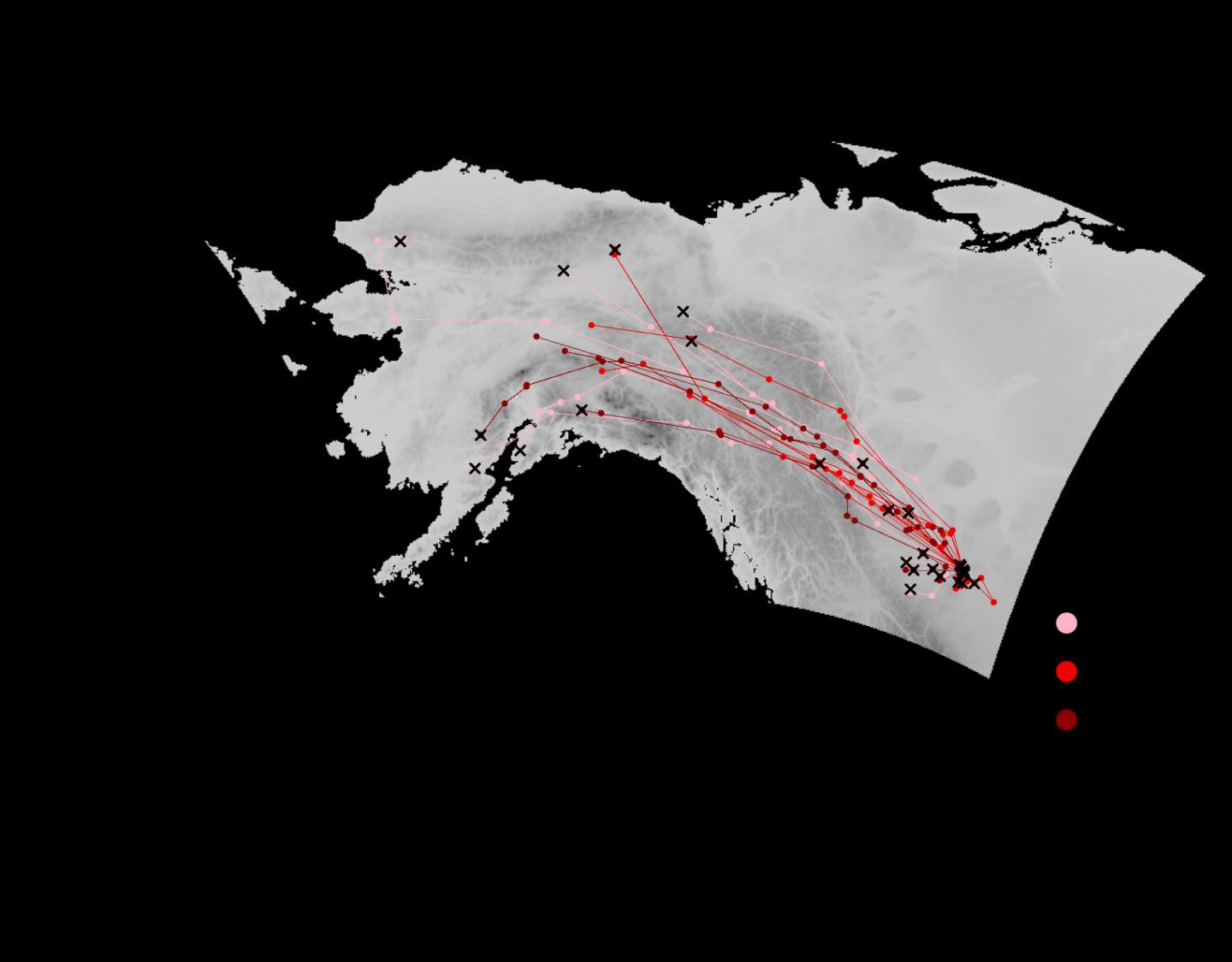 Map of Migration Routes