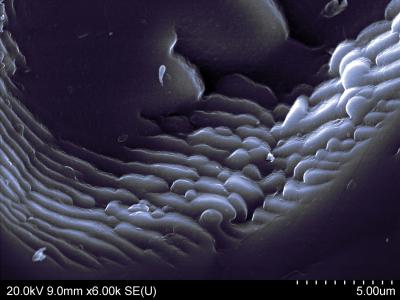 Aluminum Isotope Provides a Window in Time (2 of 3)
