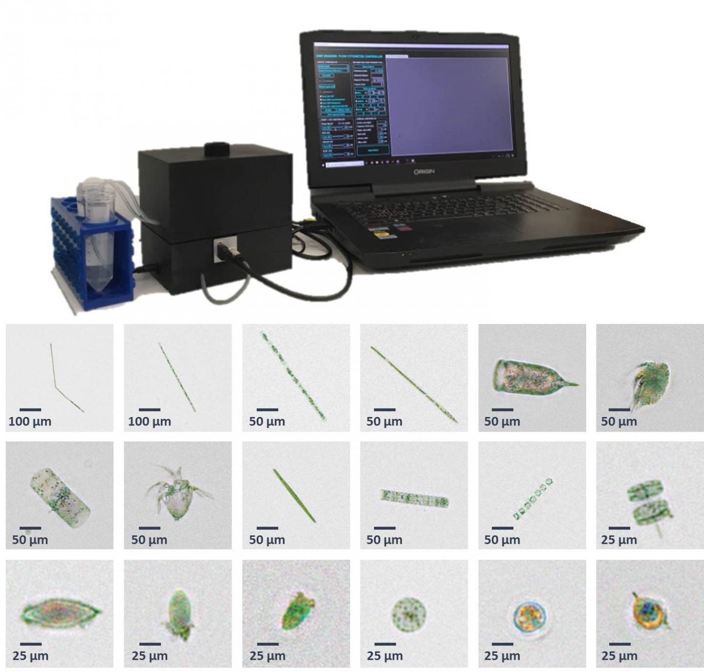Mobile Device by UCLA Enables Easy Prediction and Control of Harmful Algal Blooms