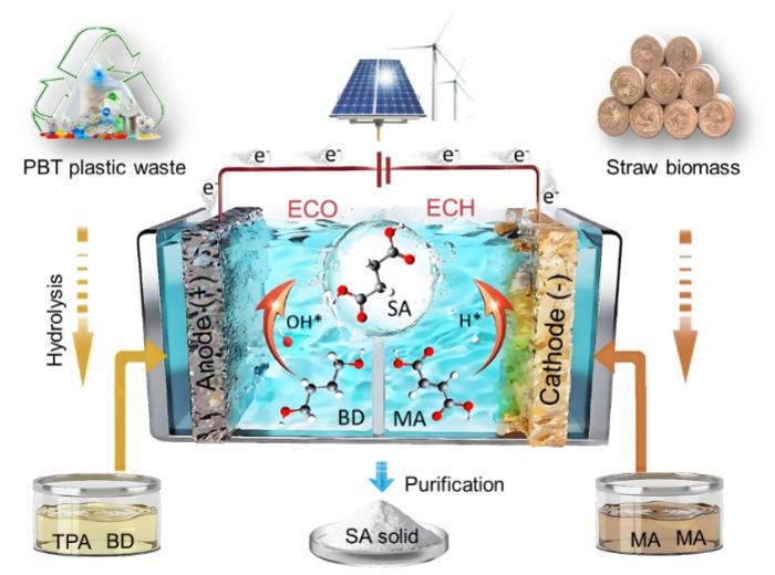 Dual-side electrosynthesis converts plastic waste and biowaste into succinic acid