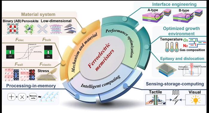 Breaking the memory–computing divide: ferroelectric memristors unlock new possibilities